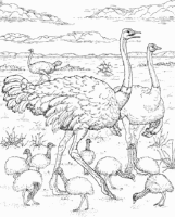 A coloring page of nature in africa